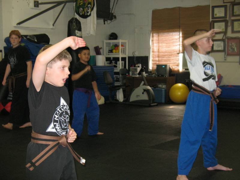 BJJ class