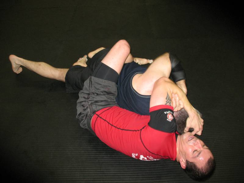 NO gi class